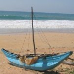 Discover Community & Wildlife conservation volunteering in Sri Lanka! Discover Community & Wildlife conservation volunteering in Sri Lanka!