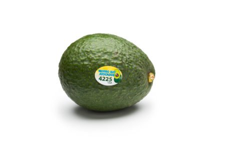 avo